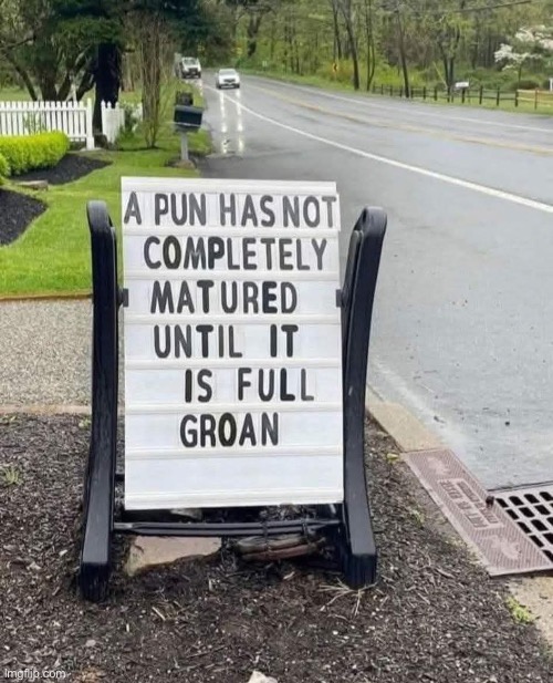 Fully groaned | image tagged in sully groan,puns,bad pun | made w/ Imgflip meme maker