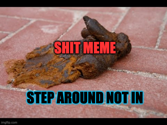 flag bait | SHIT MEME; STEP AROUND NOT IN | image tagged in dog shit,flag trolls,post insulting memes,then report the answers,that shut them down,like the turds they are | made w/ Imgflip meme maker