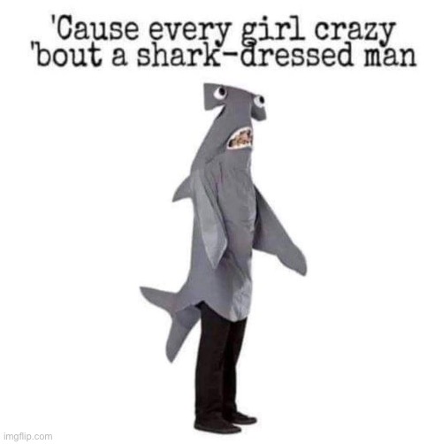 Shark Dressed Man | image tagged in shark,man | made w/ Imgflip meme maker