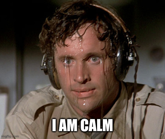 Sweating on commute after jiu-jitsu | I AM CALM | image tagged in sweating on commute after jiu-jitsu | made w/ Imgflip meme maker