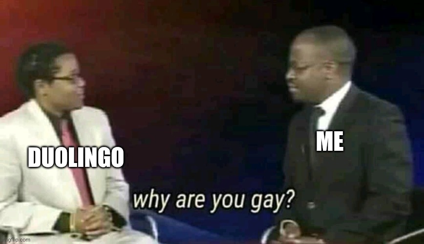 Why are you gay? | ME DUOLINGO | image tagged in why are you gay | made w/ Imgflip meme maker