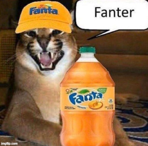 Fanter | made w/ Imgflip meme maker