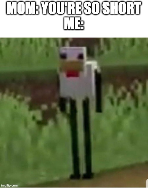 Cursed Minecraft chicken | MOM: YOU'RE SO SHORT
ME: | image tagged in cursed minecraft chicken | made w/ Imgflip meme maker