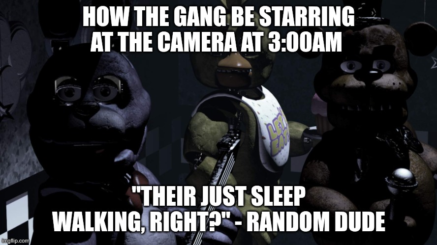 Fnaf meme idk | HOW THE GANG BE STARRING AT THE CAMERA AT 3:00AM; "THEIR JUST SLEEP WALKING, RIGHT?" - RANDOM DUDE | image tagged in fnaf meme idk | made w/ Imgflip meme maker