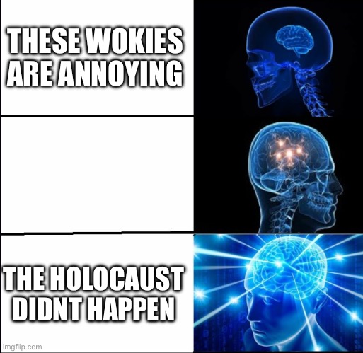 Galaxy Brain (3 brains) | THESE WOKIES ARE ANNOYING; THE HOLOCAUST DIDNT HAPPEN | image tagged in galaxy brain 3 brains | made w/ Imgflip meme maker