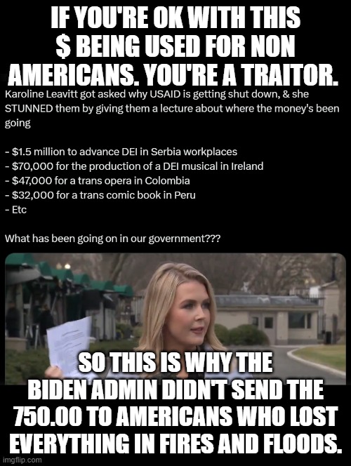 USAID Scam | IF YOU'RE OK WITH THIS $ BEING USED FOR NON AMERICANS. YOU'RE A TRAITOR. SO THIS IS WHY THE BIDEN ADMIN DIDN'T SEND THE 750.00 TO AMERICANS WHO LOST EVERYTHING IN FIRES AND FLOODS. | image tagged in usaid,scam,traitors,america hating left | made w/ Imgflip meme maker