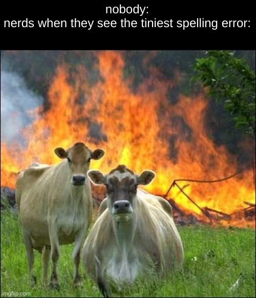 Evil Cows Meme | nobody:
nerds when they see the tiniest spelling error: | image tagged in memes,evil cows | made w/ Imgflip meme maker