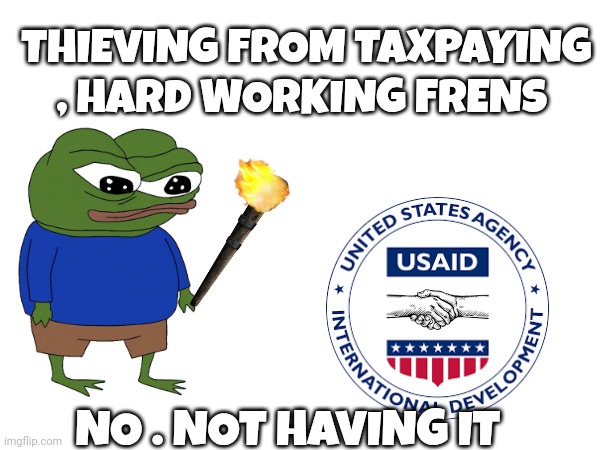 USAID meme | THIEVING FROM TAXPAYING , HARD WORKING FRENS; NO . NOT HAVING IT | image tagged in pepe the frog | made w/ Imgflip meme maker