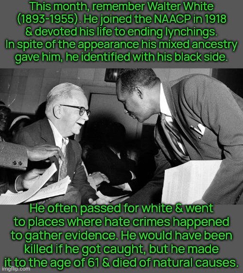 Don't confuse him with a fictional drug dealer. | This month, remember Walter White (1893-1955). He joined the NAACP in 1918 & devoted his life to ending lynchings. In spite of the appearance his mixed ancestry gave him, he identified with his black side. He often passed for white & went to places where hate crimes happened to gather evidence. He would have been killed if he got caught, but he made it to the age of 61 & died of natural causes. | image tagged in walter white,african american,civil rights,black history month,brave,thats what heroes do | made w/ Imgflip meme maker