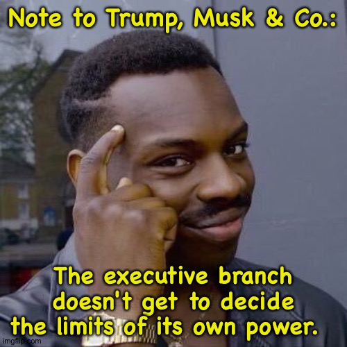 Checks and balances | Note to Trump, Musk & Co.:; The executive branch doesn't get to decide the limits of its own power. | image tagged in thinking black guy | made w/ Imgflip meme maker