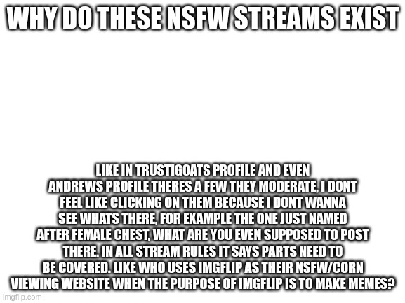 Blank White Template | WHY DO THESE NSFW STREAMS EXIST; LIKE IN TRUSTIGOATS PROFILE AND EVEN ANDREWS PROFILE THERES A FEW THEY MODERATE, I DONT FEEL LIKE CLICKING ON THEM BECAUSE I DONT WANNA SEE WHATS THERE, FOR EXAMPLE THE ONE JUST NAMED AFTER FEMALE CHEST, WHAT ARE YOU EVEN SUPPOSED TO POST THERE. IN ALL STREAM RULES IT SAYS PARTS NEED TO BE COVERED. LIKE WHO USES IMGFLIP AS THEIR NSFW/CORN VIEWING WEBSITE WHEN THE PURPOSE OF IMGFLIP IS TO MAKE MEMES? | image tagged in blank white template | made w/ Imgflip meme maker