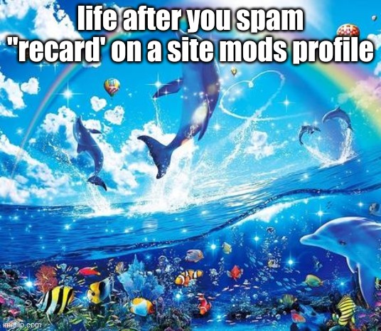 walking on the skin of your ice | life after you spam "recard' on a site mods profile | image tagged in symphony meme | made w/ Imgflip meme maker