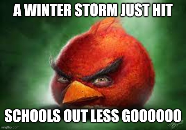 W | A WINTER STORM JUST HIT; SCHOOLS OUT LESS GOOOOOO | image tagged in realistic red angry birds | made w/ Imgflip meme maker