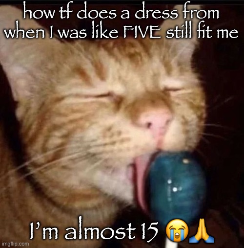 like yeah it’s a stretchy one but i thought by now it’ll be too small | how tf does a dress from when I was like FIVE still fit me; I’m almost 15 😭🙏 | image tagged in silly goober 2 | made w/ Imgflip meme maker