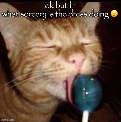 silly goober 2 | ok but fr
what sorcery is the dress doing 😞 | image tagged in silly goober 2 | made w/ Imgflip meme maker