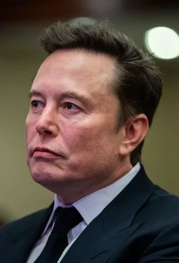 Elon looks like a frog Blank Meme Template