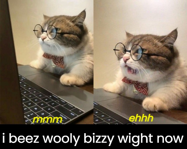 mmm i beez wooly bizzy wight now ehhh | made w/ Imgflip meme maker