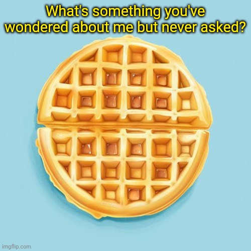 Waffle | What's something you've wondered about me but never asked? | image tagged in waffle | made w/ Imgflip meme maker