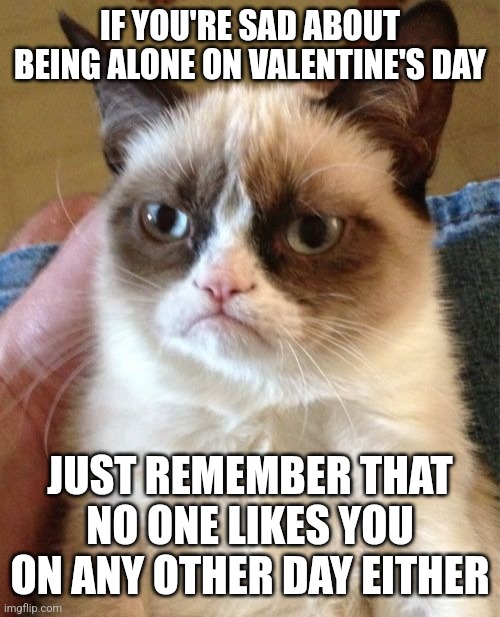 Valentine's Day | IF YOU'RE SAD ABOUT BEING ALONE ON VALENTINE'S DAY; JUST REMEMBER THAT NO ONE LIKES YOU ON ANY OTHER DAY EITHER | image tagged in memes,grumpy cat,valentine's day,alone | made w/ Imgflip meme maker