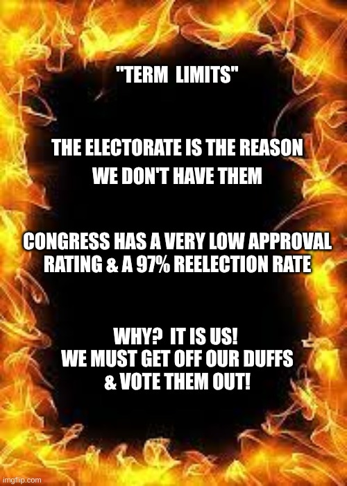 expression memes | ''TERM  LIMITS''; WE DON'T HAVE THEM; THE ELECTORATE IS THE REASON; CONGRESS HAS A VERY LOW APPROVAL
RATING & A 97% REELECTION RATE; WHY?  IT IS US!  WE MUST GET OFF OUR DUFFS
& VOTE THEM OUT! | image tagged in cajun fire blank temp,termlimits | made w/ Imgflip meme maker