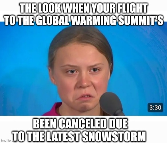 Climate Cult | THE LOOK WHEN YOUR FLIGHT TO THE GLOBAL WARMING SUMMIT'S; BEEN CANCELED DUE TO THE LATEST SNOWSTORM | image tagged in libtards,morons,losers | made w/ Imgflip meme maker