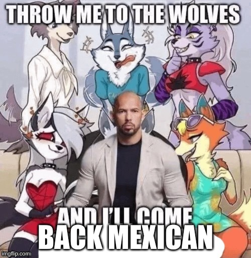 Throw me to the wolves and I’ll come [blank] | BACK MEXICAN | image tagged in throw me to the wolves and i ll come blank | made w/ Imgflip meme maker