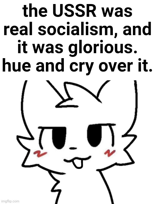 the USSR was real socialism, and it was glorious. hue and cry over it. | made w/ Imgflip meme maker