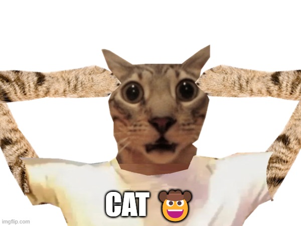 Cat | CAT 🤠 | image tagged in cat | made w/ Imgflip meme maker