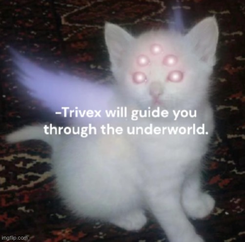 I trust trivex | made w/ Imgflip meme maker