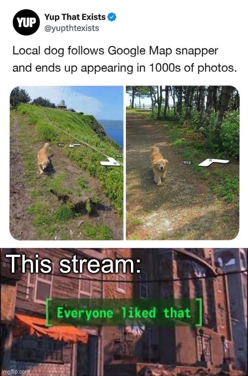 Good boi | This stream: | image tagged in everyone liked that,dog,pictures | made w/ Imgflip meme maker