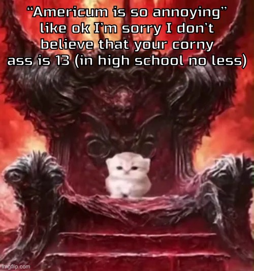 Kitty :3 | “Americum is so annoying” like ok I’m sorry I don’t believe that your corny ass is 13 (in high school no less) | image tagged in kitty 3 | made w/ Imgflip meme maker