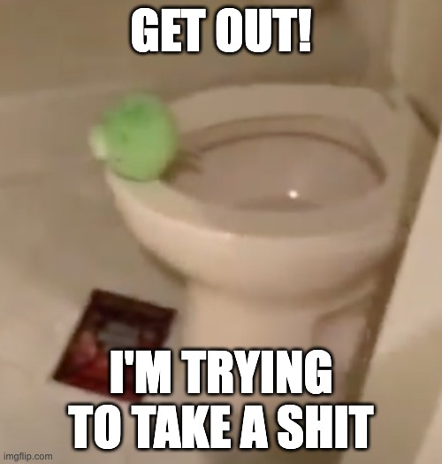 I'm taking a shit | GET OUT! I'M TRYING TO TAKE A SHIT | image tagged in angry birds,green pig | made w/ Imgflip meme maker