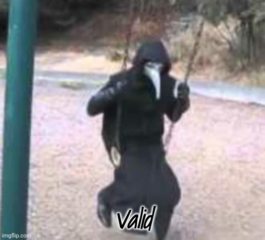 Plague Doctor Troubles | Valid | image tagged in plague doctor troubles | made w/ Imgflip meme maker