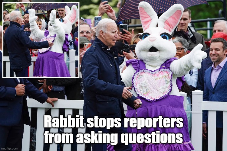 Rabbit stops reporters from asking questions | made w/ Imgflip meme maker