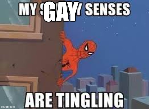 My Spidey Senses Are Tingling | GAY | image tagged in my spidey senses are tingling | made w/ Imgflip meme maker