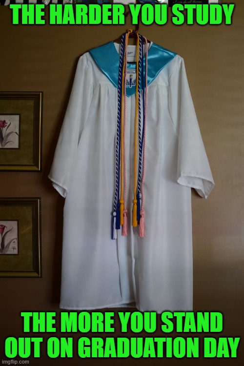 A Motivational Meme for Students | THE HARDER YOU STUDY; THE MORE YOU STAND OUT ON GRADUATION DAY | image tagged in graduation,gown,hanger,honor cords,national honor society,sash | made w/ Imgflip meme maker