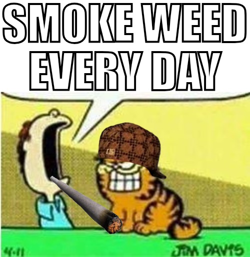 John Yelling at Garfield | SMOKE WEED EVERY DAY | image tagged in john yelling at garfield | made w/ Imgflip meme maker