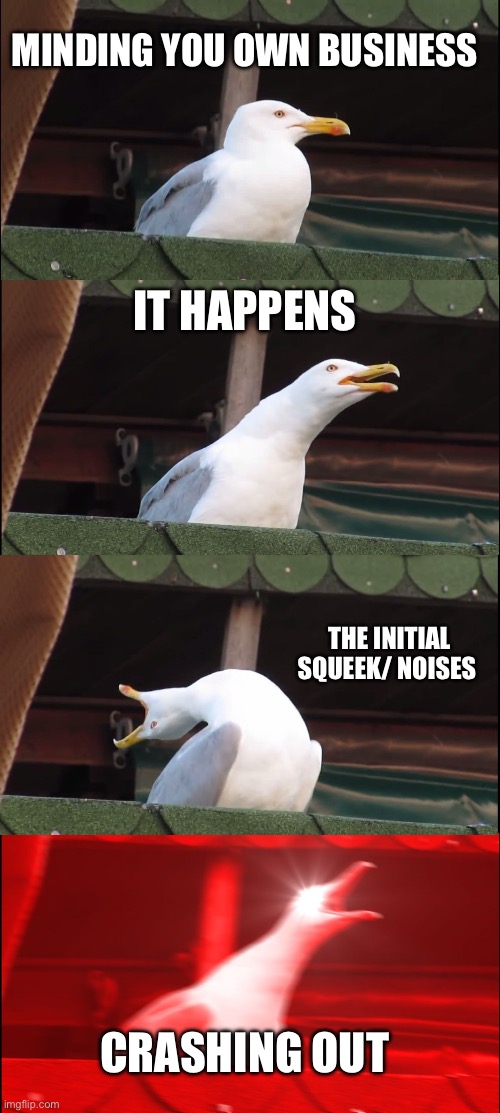 The stages of stubbing your toe | MINDING YOU OWN BUSINESS; IT HAPPENS; THE INITIAL SQUEEK/ NOISES; CRASHING OUT | image tagged in memes,inhaling seagull,funny memes,relatable,funny,relatable memes | made w/ Imgflip meme maker