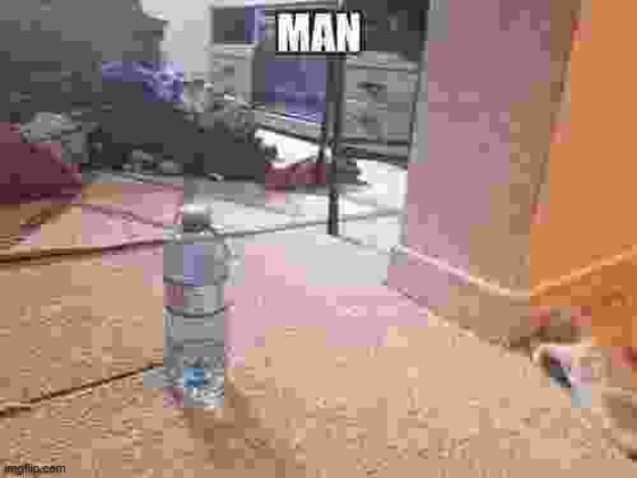 Man | image tagged in man | made w/ Imgflip meme maker