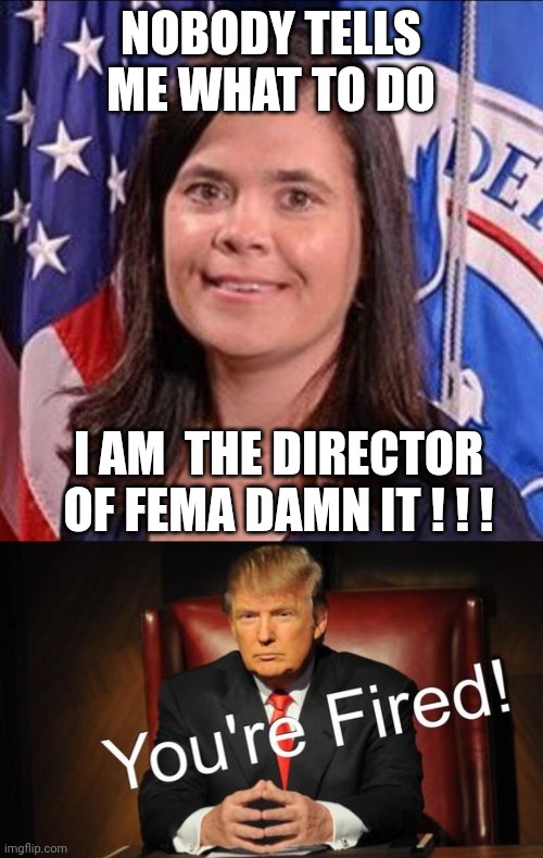 FEMA DIRECTOR | NOBODY TELLS ME WHAT TO DO; I AM  THE DIRECTOR OF FEMA DAMN IT ! ! ! | made w/ Imgflip meme maker