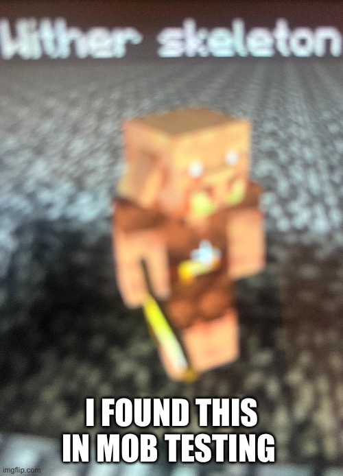 I FOUND THIS IN MOB TESTING | image tagged in minecraft | made w/ Imgflip meme maker