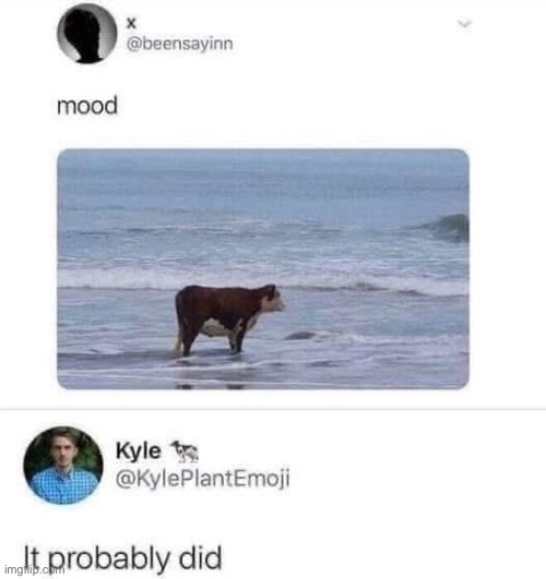 Mood | image tagged in mood,moo,cow | made w/ Imgflip meme maker