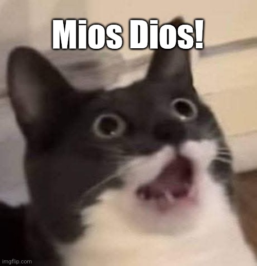 mios dios! | Mios Dios! | image tagged in mios dios | made w/ Imgflip meme maker