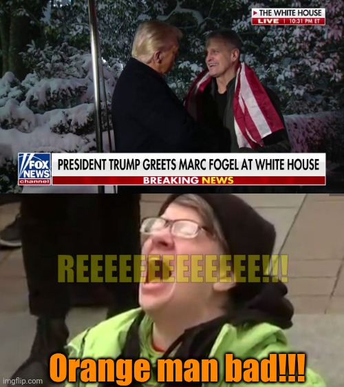 Damn you, Trump!!! | REEEEEEEEEEEEE!!! Orange man bad!!! | image tagged in screaming liberal | made w/ Imgflip meme maker