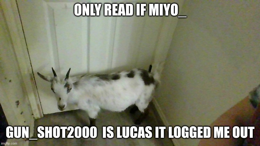 the goat | ONLY READ IF MIYO_; GUN_SHOT2000  IS LUCAS IT LOGGED ME OUT | image tagged in the goat | made w/ Imgflip meme maker