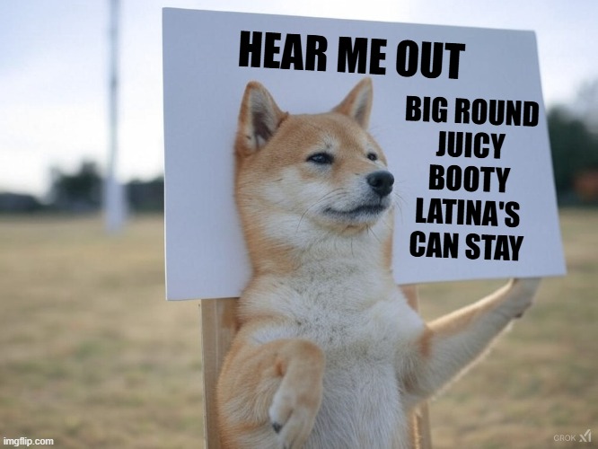 Deport most...not all! Viva La Booty | HEAR ME OUT; BIG ROUND
JUICY
BOOTY
LATINA'S
CAN STAY | image tagged in big booty,latina,deportation,maga,immigration,doge | made w/ Imgflip meme maker