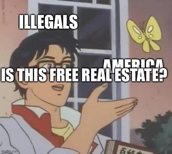 Is This A Pigeon Meme | ILLEGALS; AMERICA; IS THIS FREE REAL ESTATE? | image tagged in memes,is this a pigeon | made w/ Imgflip meme maker