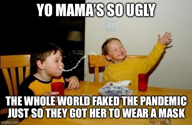 Roasts | YO MAMA’S SO UGLY; THE WHOLE WORLD FAKED THE PANDEMIC JUST SO THEY GOT HER TO WEAR A MASK | image tagged in memes,yo mamas so fat | made w/ Imgflip meme maker