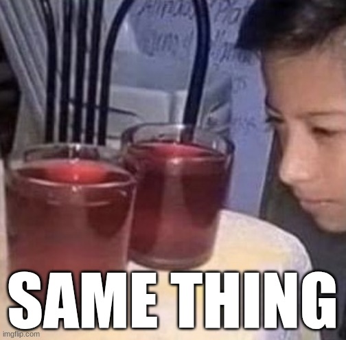 Same thing | SAME THING | image tagged in same thing | made w/ Imgflip meme maker