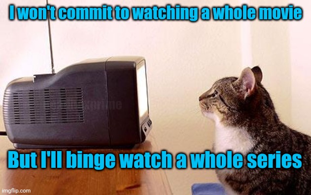 Ridiculous | I won't commit to watching a whole movie; deadboxprime; But I'll binge watch a whole series | image tagged in cat watching tv | made w/ Imgflip meme maker